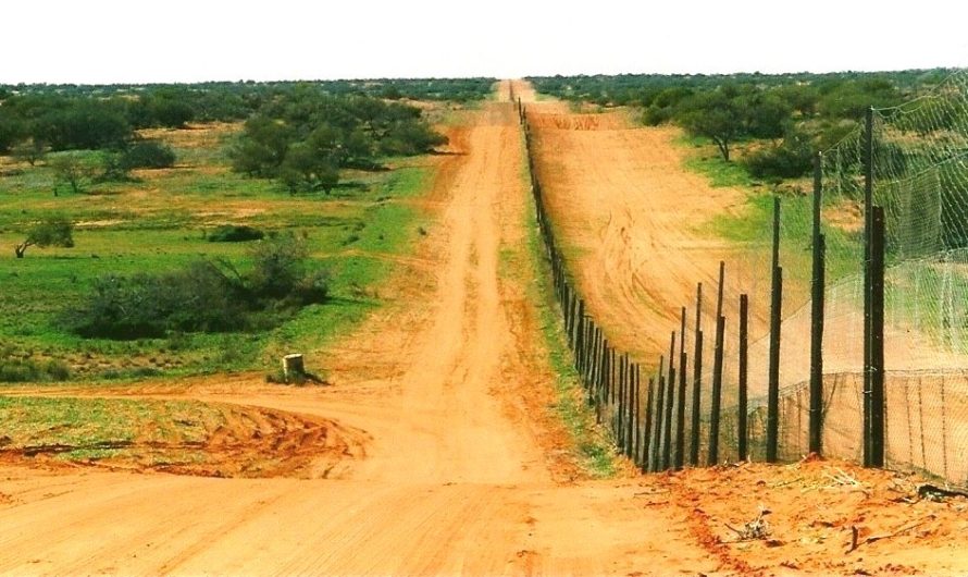 Austrālija un Antarktīda: Slepenie ceļi, aizliegtās zonas un nezināmā patiesība