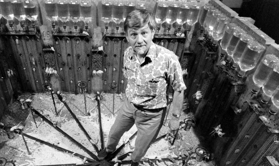 Visums 25: Eksperiments, kas atklāj sabiedrības sabrukumu komfortā