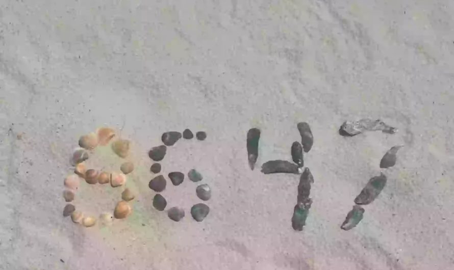 Bijušā FIB vadītāja Instagram ieraksts izraisa sašutumu – vai tas bija slēpts drauds Trampam?