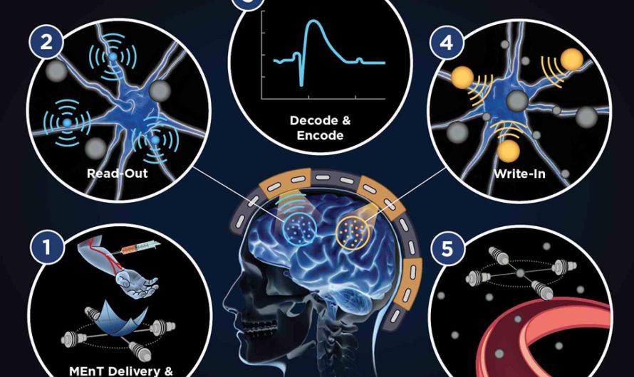 DARPA un sociālā kontrole – tehnoloģija sabiedrības uzraudzībai?