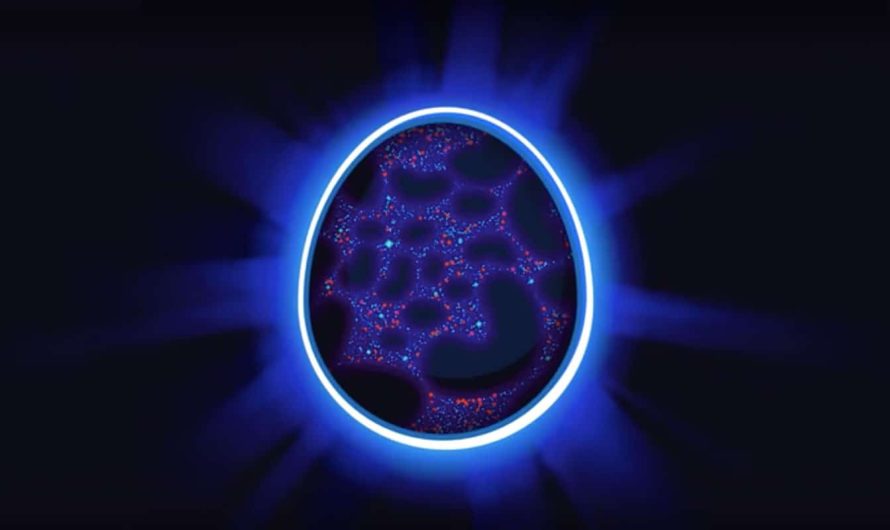 “The Egg” – Visums, kas esi Tu pats