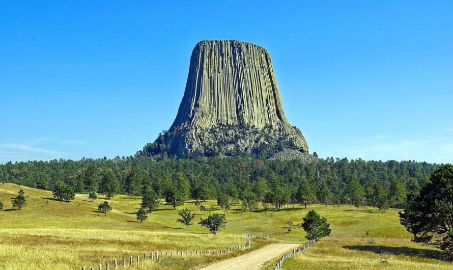 Velna Tornis – pierādījums par iznīcinātu pasauli ar milzu kokiem?