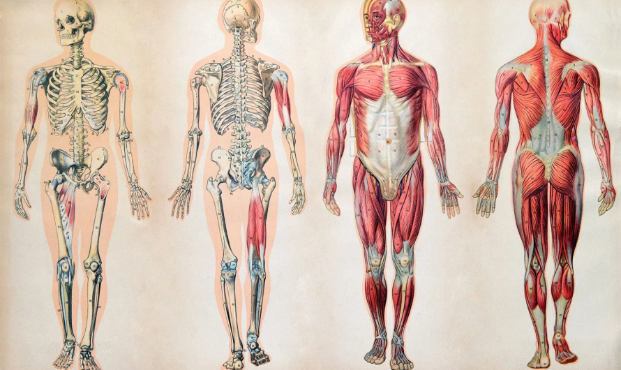 Vai cilvēce ir eksperimentāla suga? Teorija, kas apšauba visu, ko zinām par savu izcelsmi