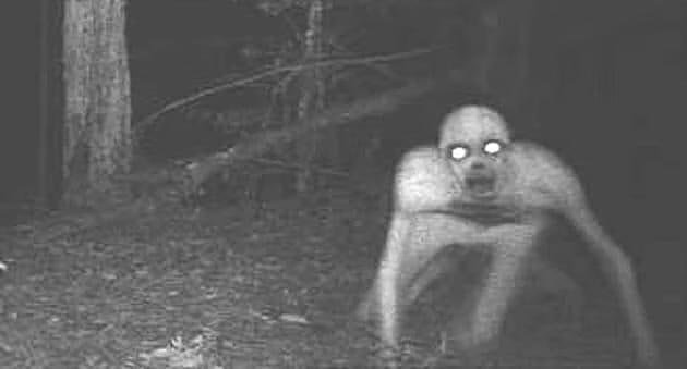 The Rake : senā zemzemes rase: izdzīvojušie no kataklizmām