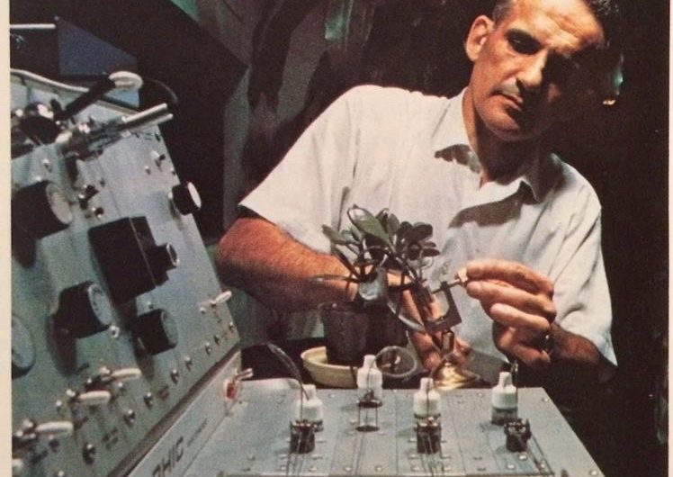 Cleve Backstera eksperiments – augi un melu detektors