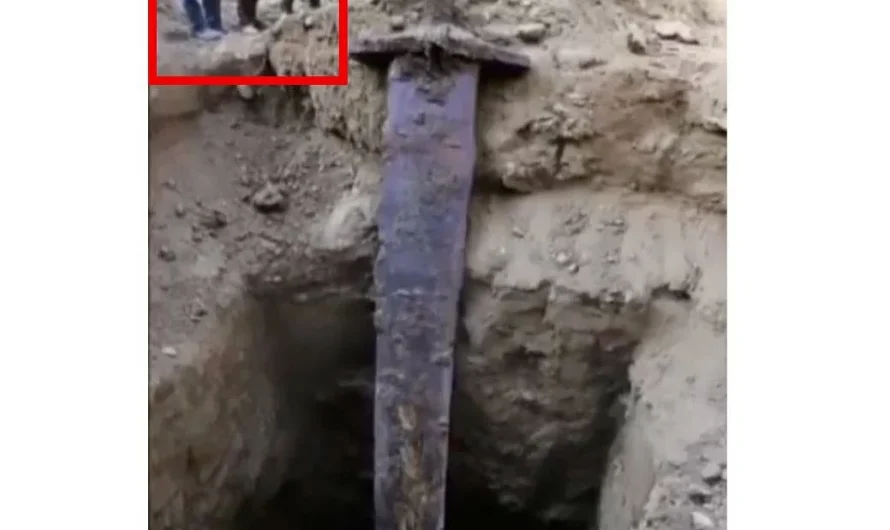 Atrasts milzīgs zobens – iespējamais pierādījums seno milžu esamībai