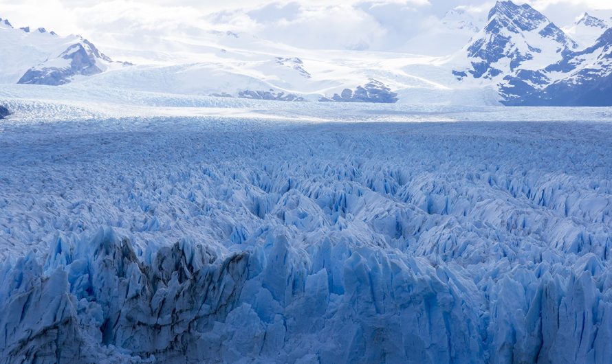 Hipotermija un dabīgā anabioze: zinātniskais pamats cilvēka atdzīvināšanai ekstremālos apstākļos