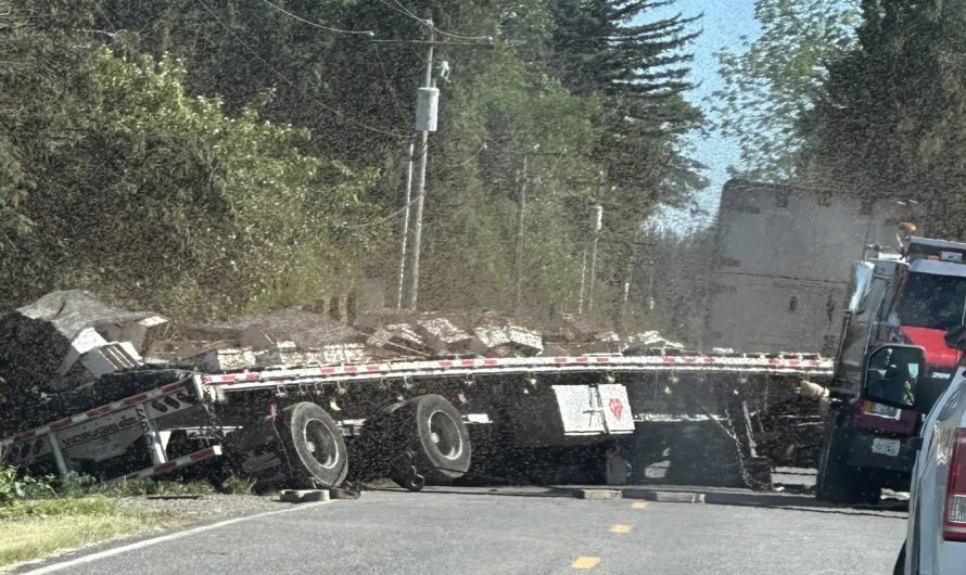Miljoniem bišu izbēg no apgāztas kravas automašīnas ASV: vides un drošības izaicinājums