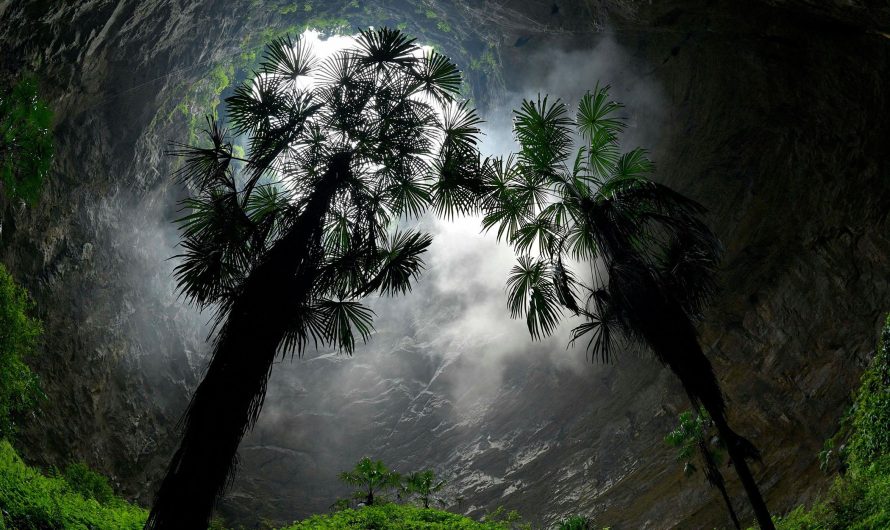 Seno mežu pasaule Ķīnas dzīlēs: Atklāts unikāls 300 metrus dziļš sinkhole ar neskartu ekosistēmu Hubei provincē