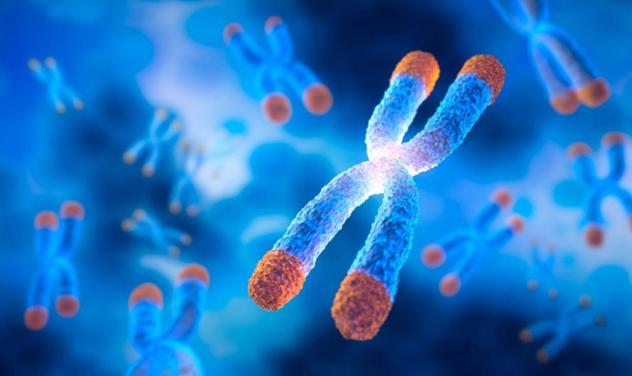 Telomeru pētījumi un novecošanas aizkavēšana