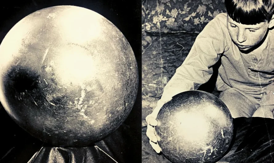 Betza sfēra – noslēpumainā zonde Floridas mežos