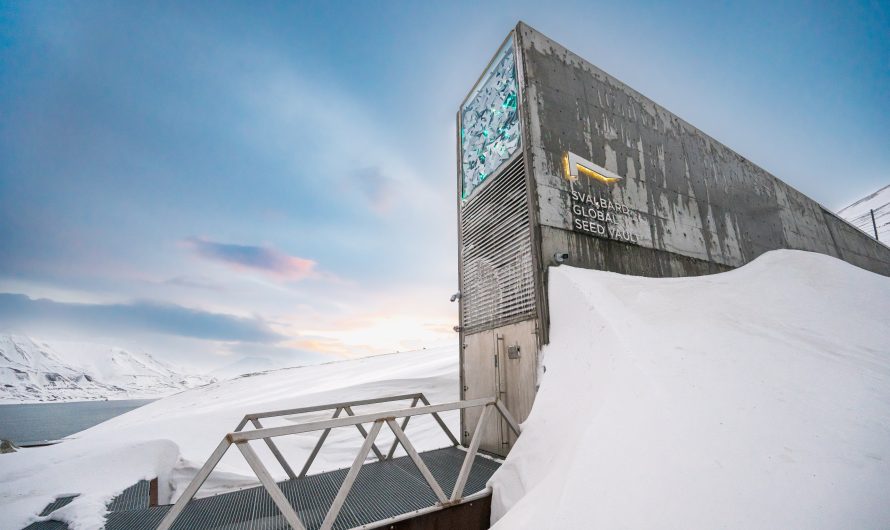 Svalbāras globālā sēklu glabātuve – cilvēces bioloģiskā apdrošināšana