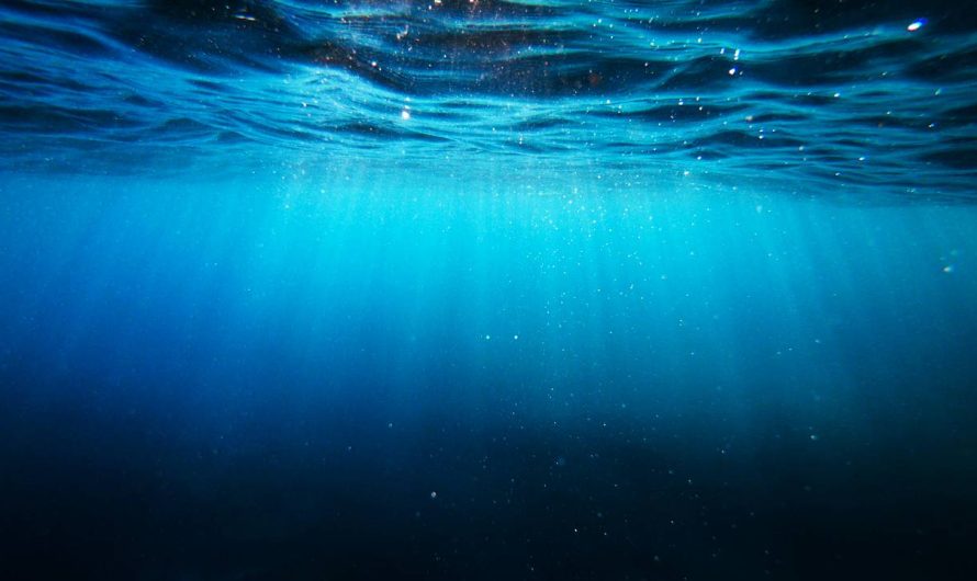 Okeāna dzīles – cilvēces pēdējā robeža, kur pat zinātnieki vēl maldās