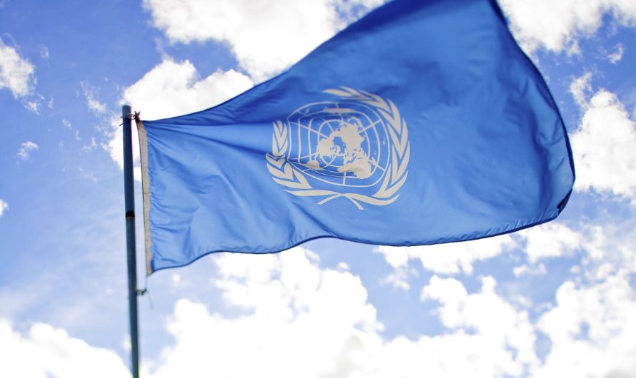 Pasaules humānās palīdzības diena: rekords traģēdijā – 383 nogalināti palīgi 2024. gadā