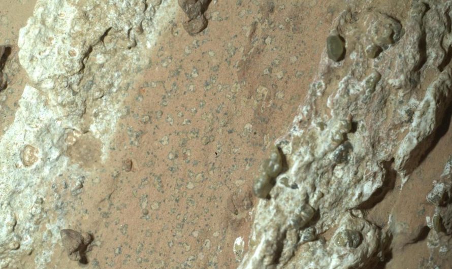 NASA atradums: “vispārliecinošākā liecība par dzīvību” uz Marsa