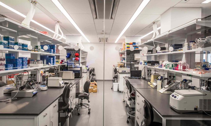 Bioloģija un medicīna: šūnu reprogrammēšana un ilgmūžība