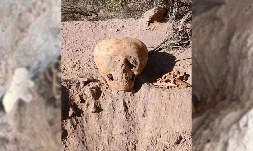 Neparastais Argentīnas galvaskauss: vai tas varētu pārstāvēt alternatīvu cilvēku populāciju?