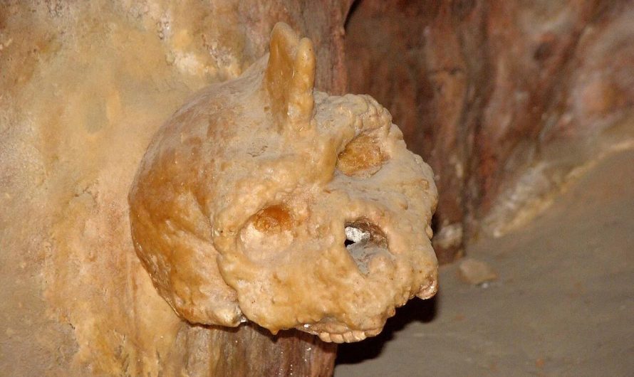 Noslēpumainais Petralonas alas galvaskauss – ne cilvēks, ne neandertālietis