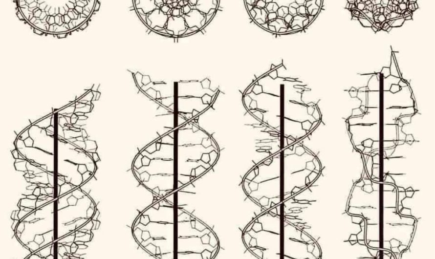 Pjotrs Garjajevs – DNS viļņu teorija jeb “viļņu ģenētika”